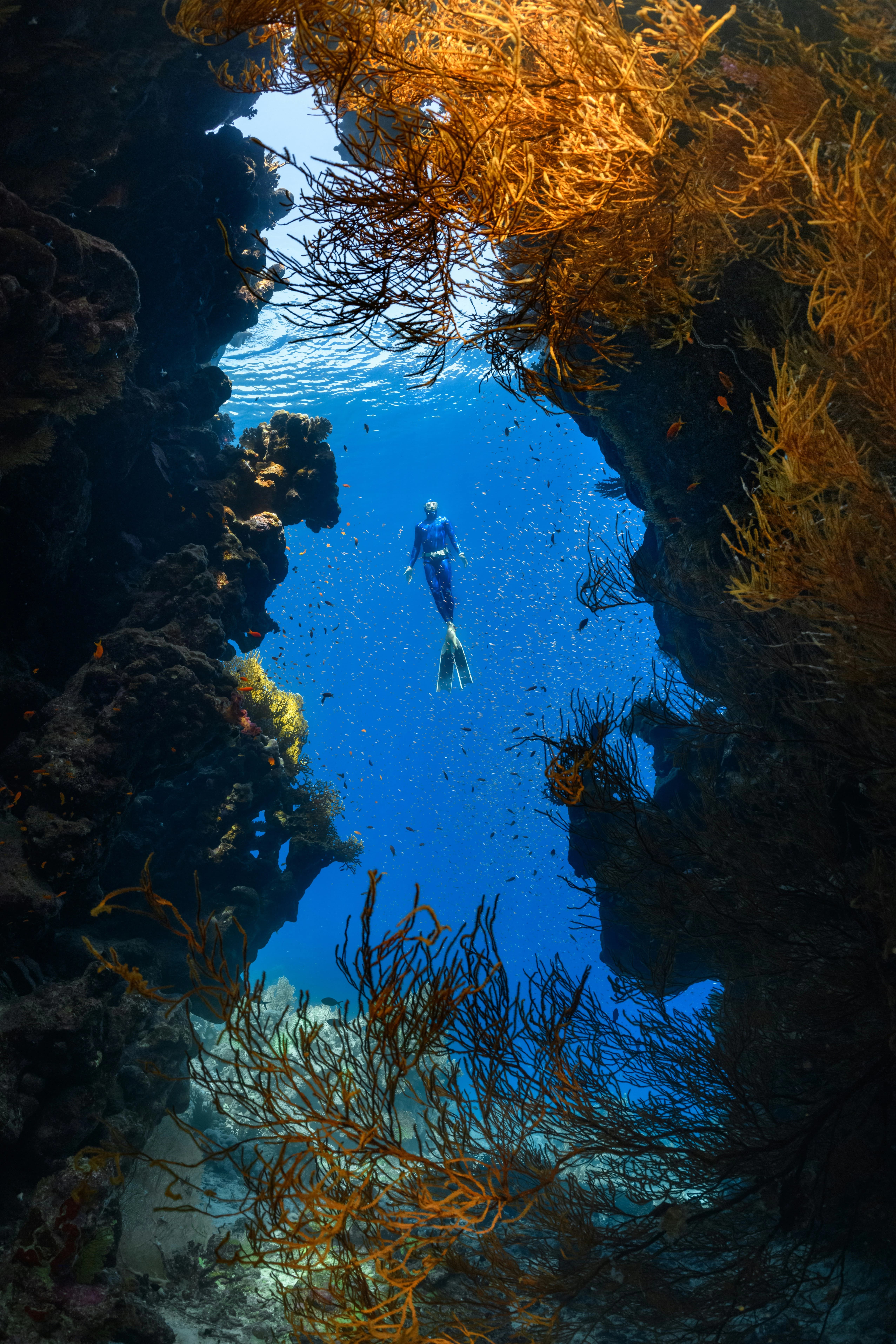 Deep sea diving experience